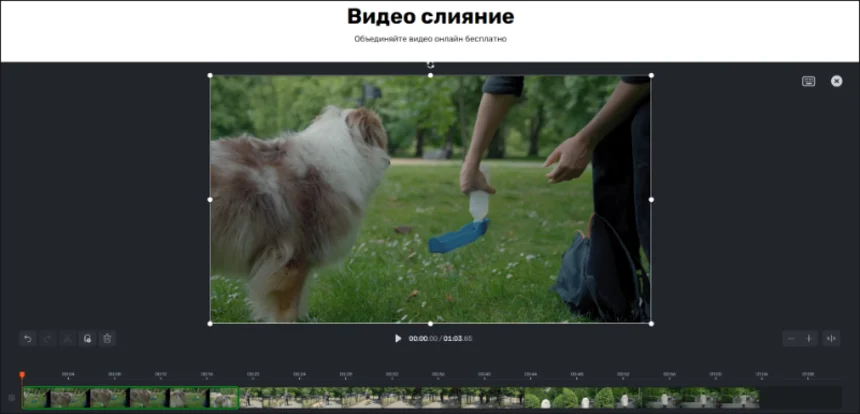 Online Video Cutter