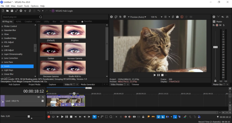 VEGAS Pro
