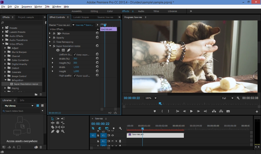 Adobe® Premiere®