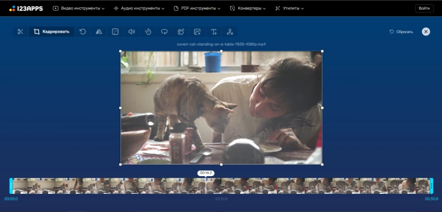 Online Video Cutter