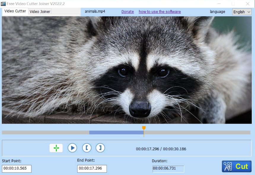 VideoPad