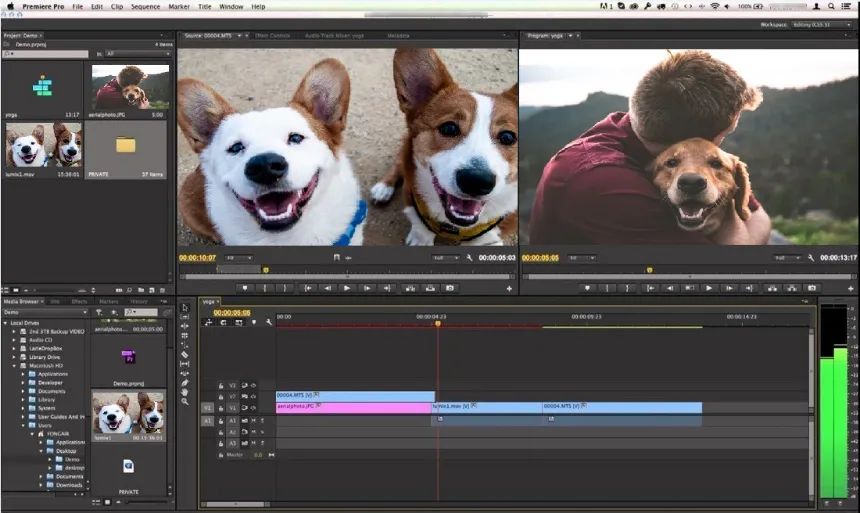 Adobe Premiere Pro