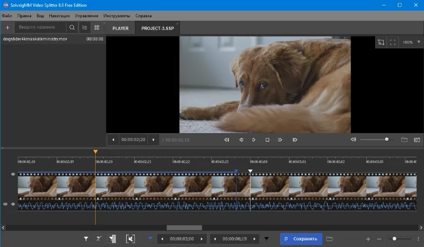 SolveigMM Video Splitter