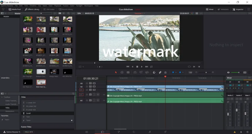 Скриншот программы DaVinci Resolve