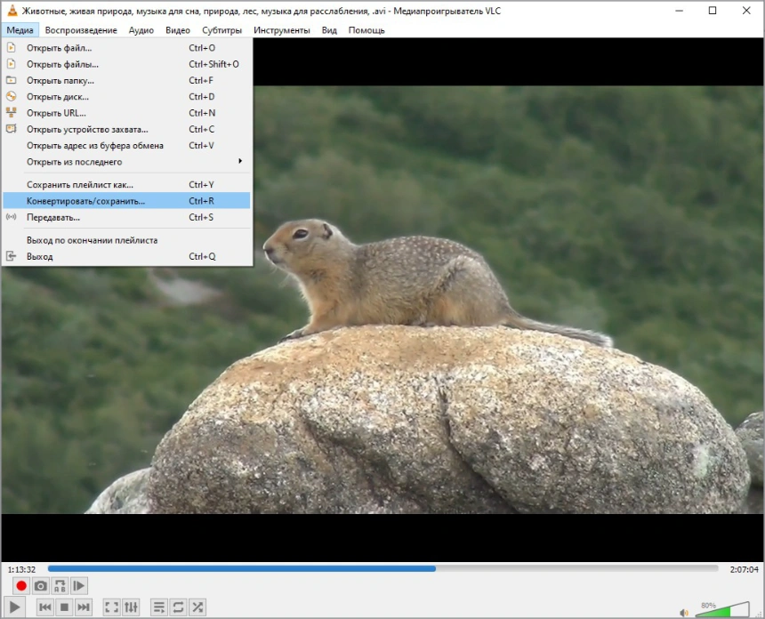 VLC media player