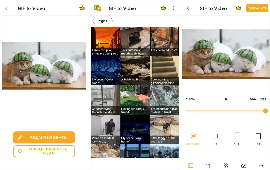 GIF to Video